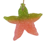 Starfish Aroma Bead Freshie Air Freshener
